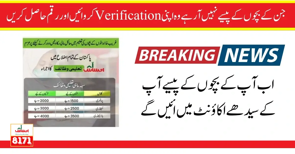 Ehsaas Taleemi Wazaif New School Verification Form 2024