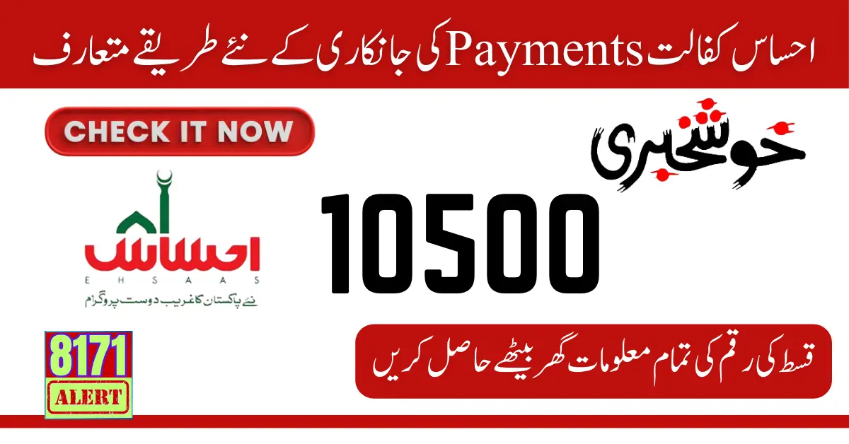 Check Your Ehsaas Payments Through 3 New Methods 2024