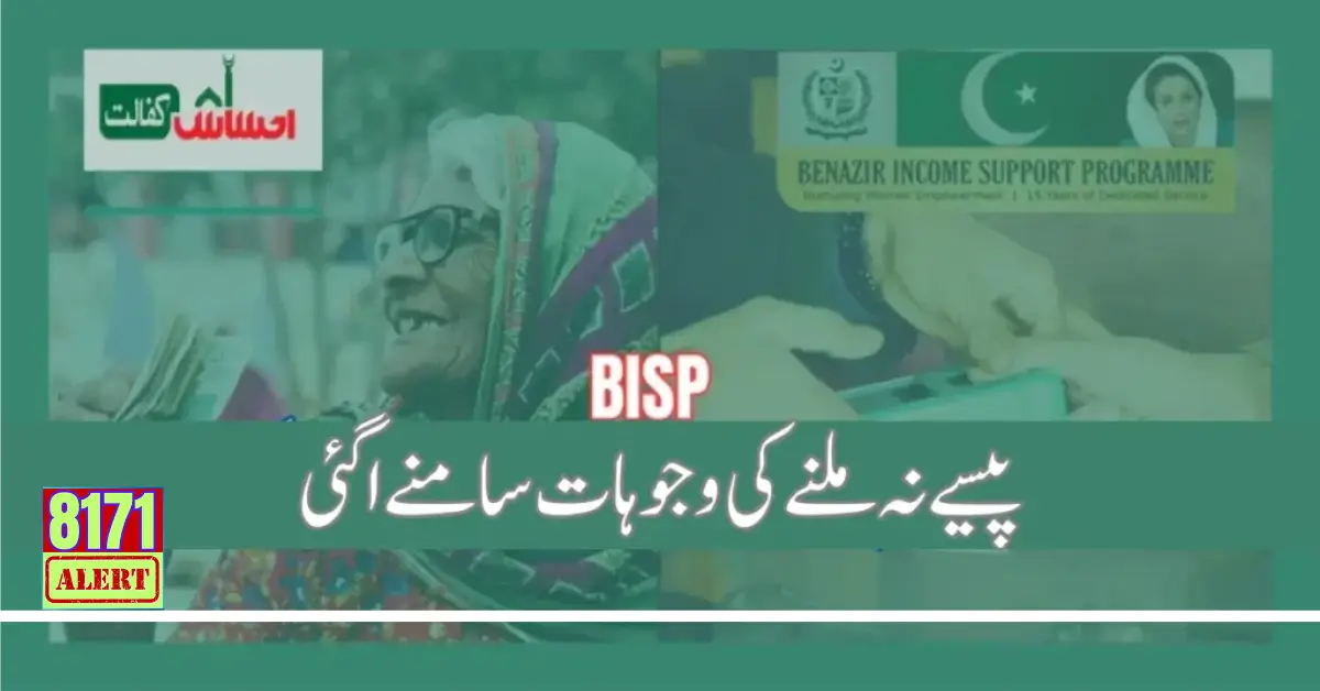 Reason Why People Do Not Receive BISP Payment 2024