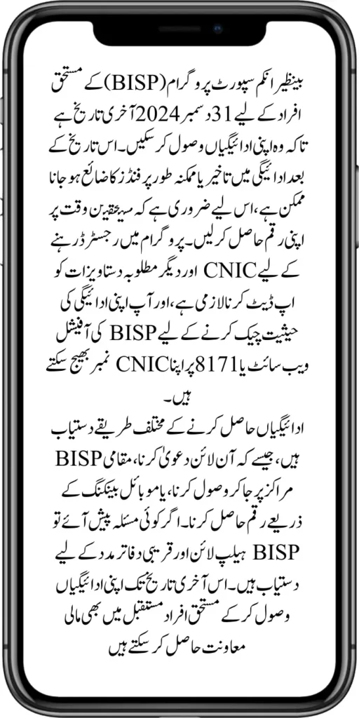 December 31, 2024, Last Date for Beneficiaries of the Benazir Income Support Program Payment