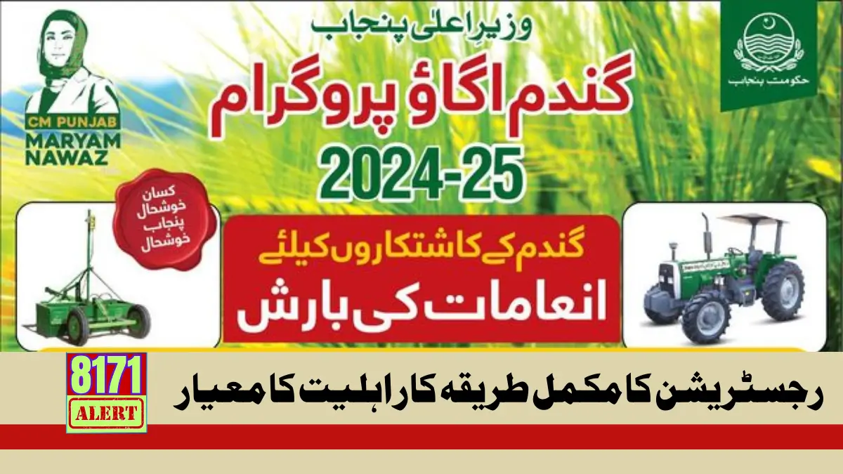 Chief Minister Punjab Wheat Cultivation Program Start From 2025