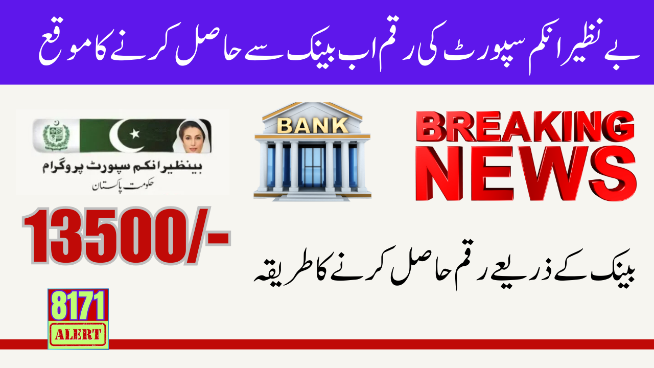 BISP 10500 Payment Receive Through Bank System 2024