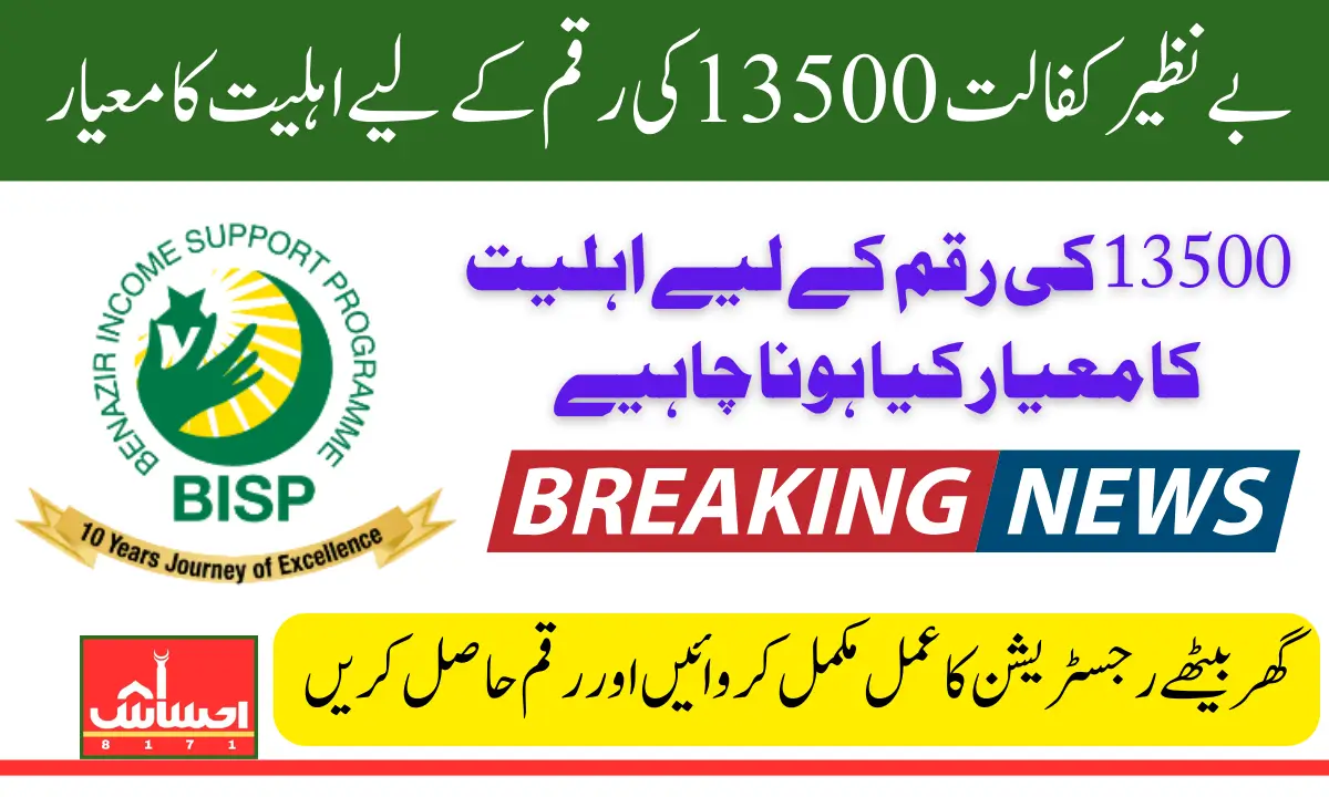 Benazir Kafaalat Payment 13500 Eligibility Check By CNIC Through 8171 Web Portal 2025