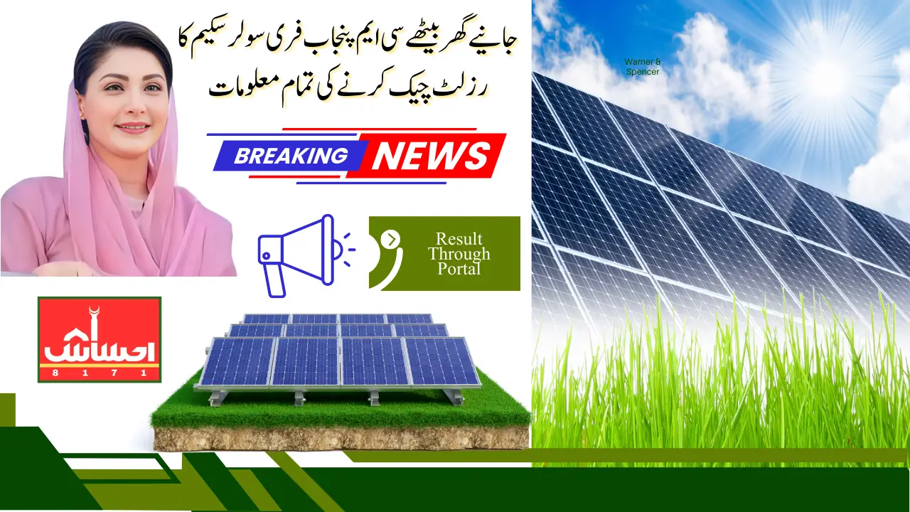 CM Punjab Announces Free Solar Panels Eligibility And Verification Details Inside